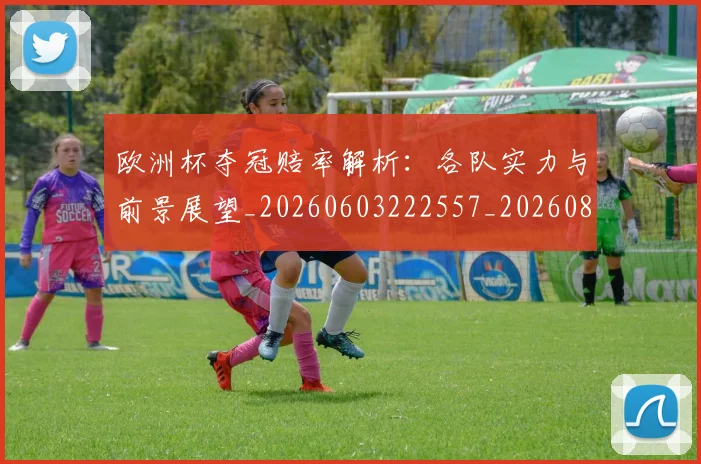欧洲杯夺冠赔率解析:各队实力与前景展望_20260603222557_20260801165910