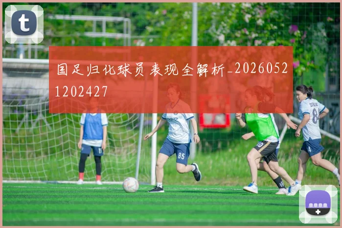 国足归化球员表现全解析_20260521202427